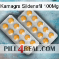 Kamagra Sildenafil 100Mg levitra2